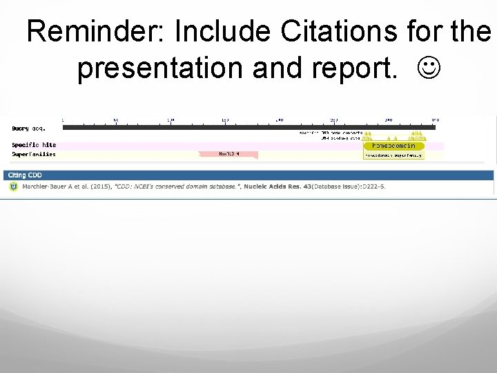 Reminder: Include Citations for the presentation and report. 