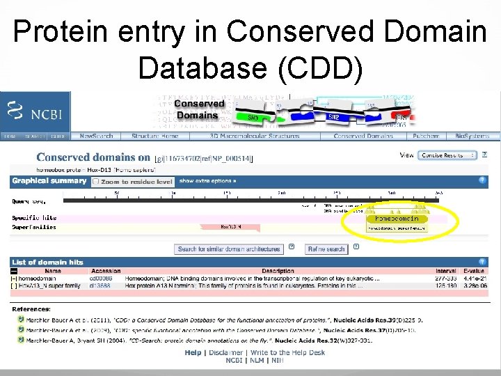 Protein entry in Conserved Domain Database (CDD) 