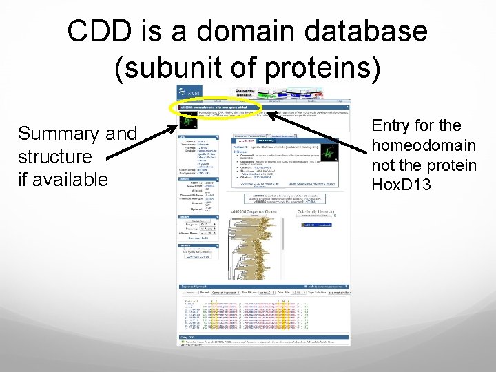 CDD is a domain database (subunit of proteins) Summary and structure if available Entry