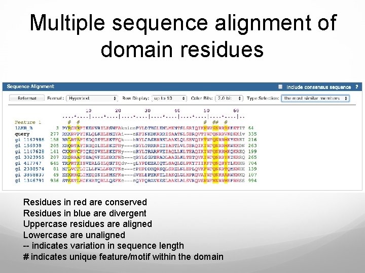 Multiple sequence alignment of domain residues Residues in red are conserved Residues in blue