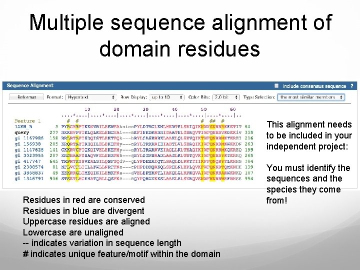 Multiple sequence alignment of domain residues This alignment needs to be included in your