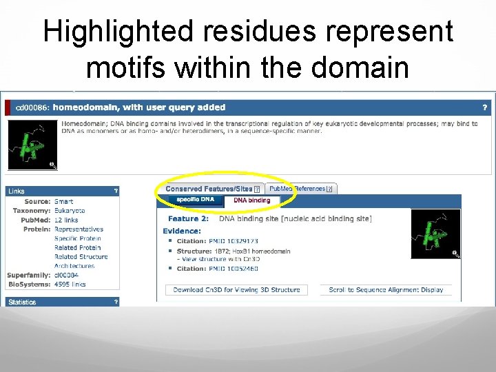 Highlighted residues represent motifs within the domain 