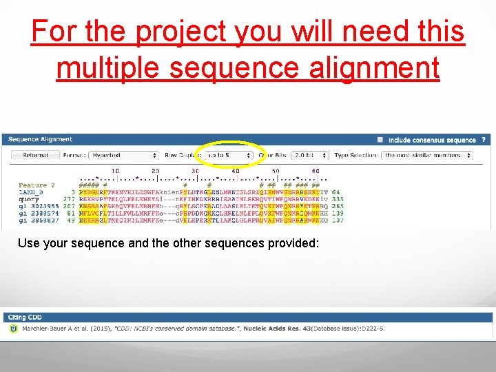 For the project you will need this multiple sequence alignment Use your sequence and