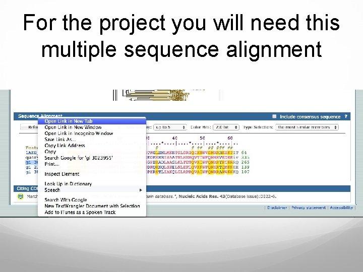 For the project you will need this multiple sequence alignment 