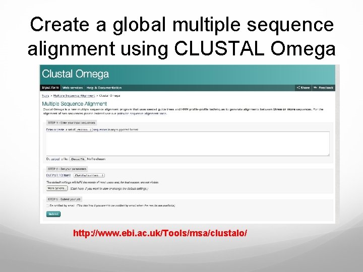 Create a global multiple sequence alignment using CLUSTAL Omega http: //www. ebi. ac. uk/Tools/msa/clustalo/