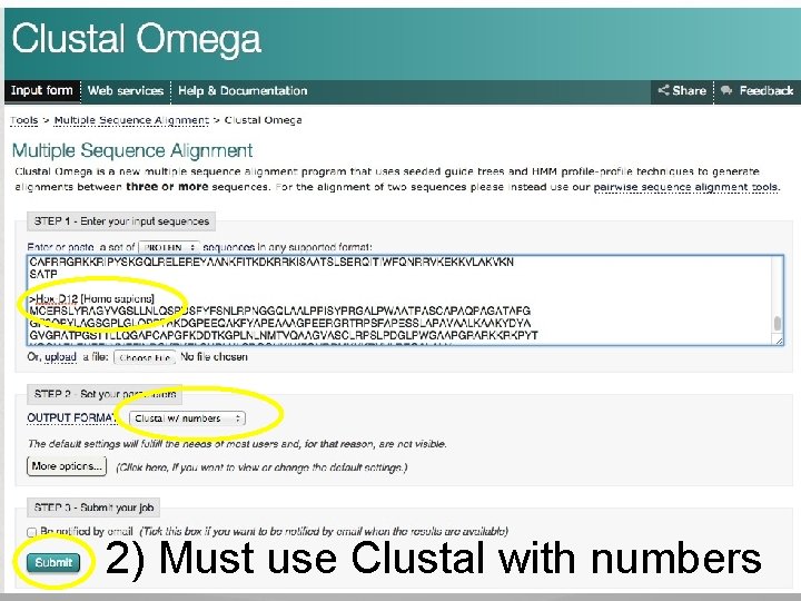 2) Must use Clustal with numbers 