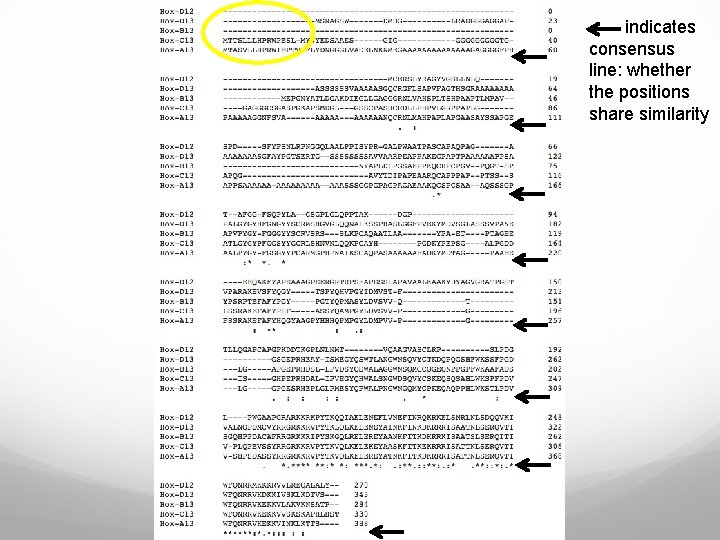 indicates consensus line: whether the positions share similarity 