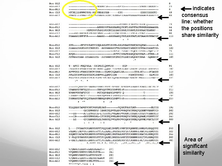 indicates consensus line: whether the positions share similarity Area of significant similarity 