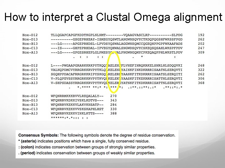 How to interpret a Clustal Omega alignment 