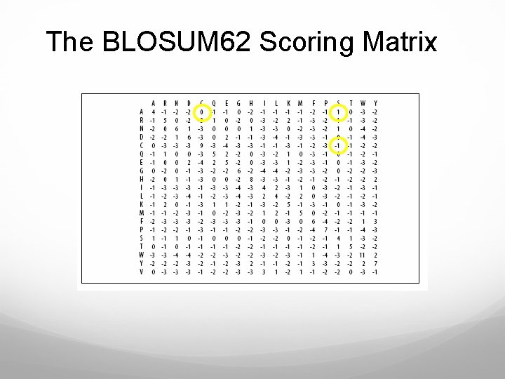 The BLOSUM 62 Scoring Matrix 