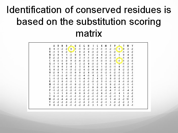 Identification of conserved residues is based on the substitution scoring matrix 