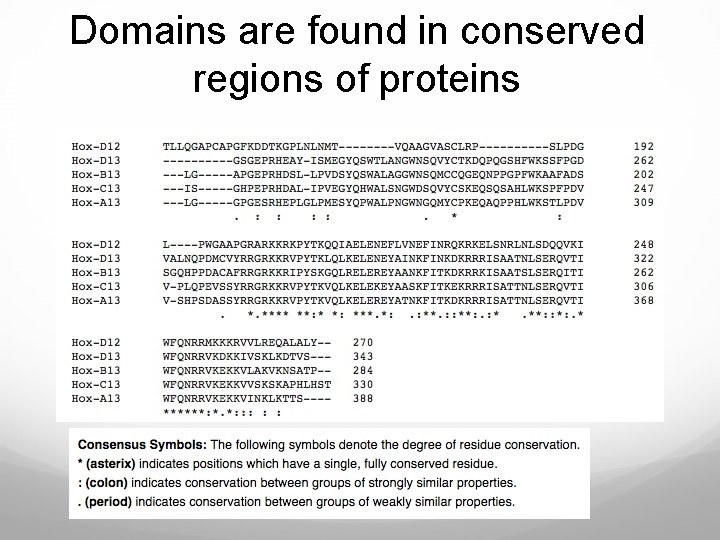 Domains are found in conserved regions of proteins 