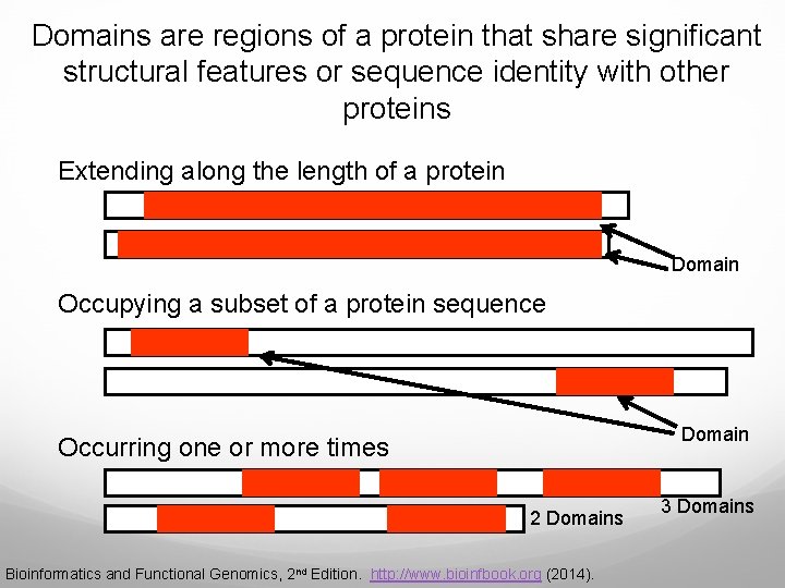 Domains are regions of a protein that share significant structural features or sequence identity