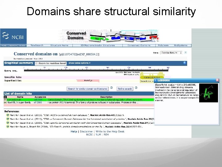 Domains share structural similarity 