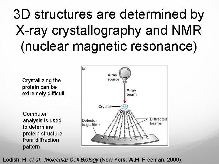 3 D structures are determined by X-ray crystallography and NMR (nuclear magnetic resonance) Crystallizing