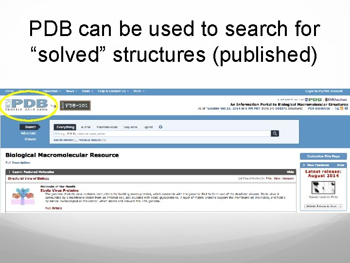 PDB can be used to search for “solved” structures (published) 