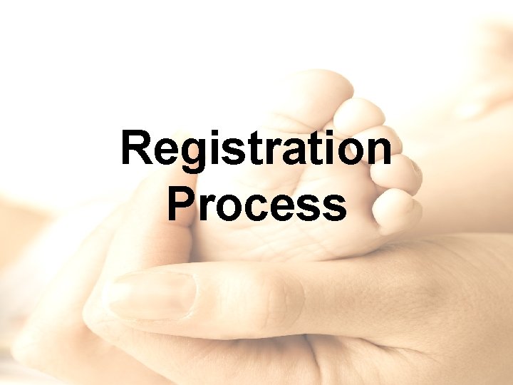 Registration Process 