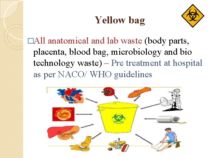 Yellow bag �All anatomical and lab waste (body parts, placenta, blood bag, microbiology and