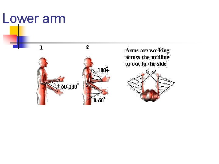 Lower arm 