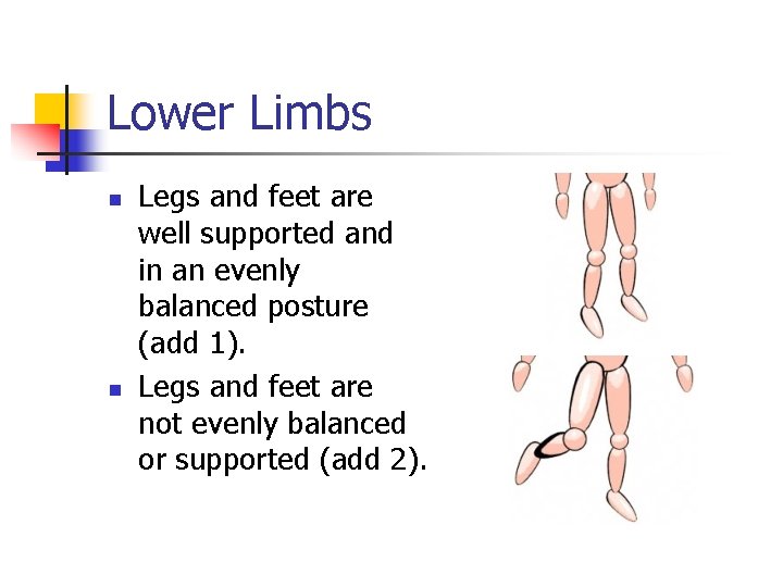 Lower Limbs n n Legs and feet are well supported and in an evenly