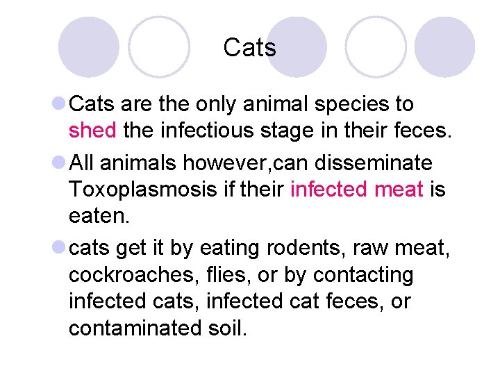 Cats l Cats are the only animal species to shed the infectious stage in