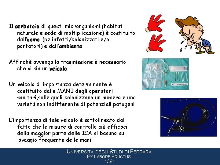 Il serbatoio di questi microrganismi (habitat naturale e sede di moltiplicazione) è costituito dall’uomo