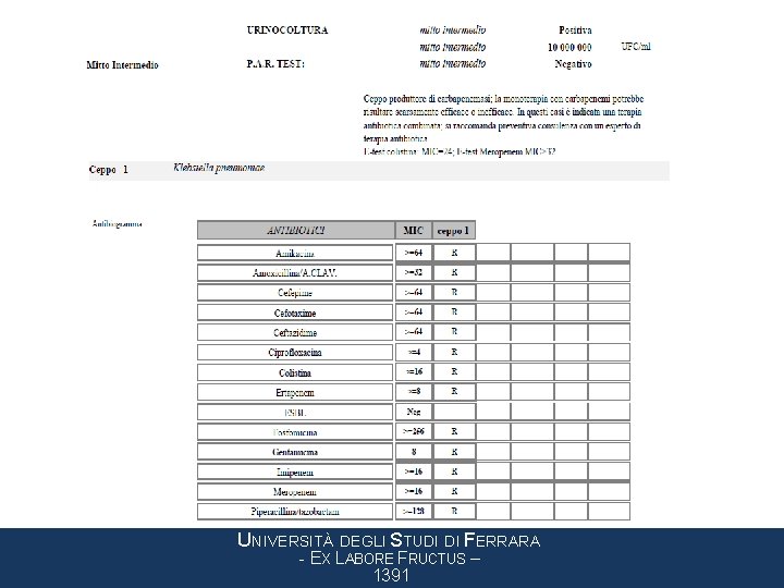 UNIVERSITÀ DEGLI STUDI DI FERRARA - EX LABORE FRUCTUS – 1391 