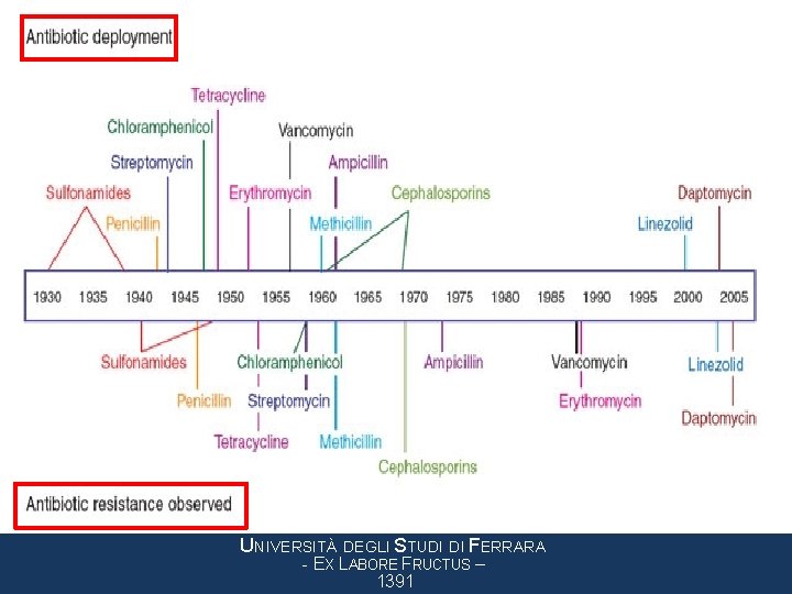 UNIVERSITÀ DEGLI STUDI DI FERRARA - EX LABORE FRUCTUS – 1391 