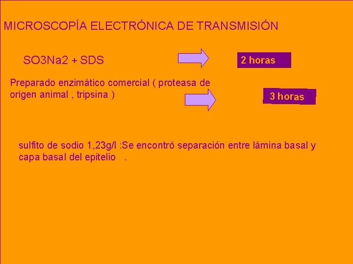 Microscopía Electrónica. DE de TRANSMISIÓN Transmisión – MET MICROSCOPÍA ELECTRÓNICA 5 horas SO 3