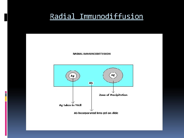 Radial Immunodiffusion 