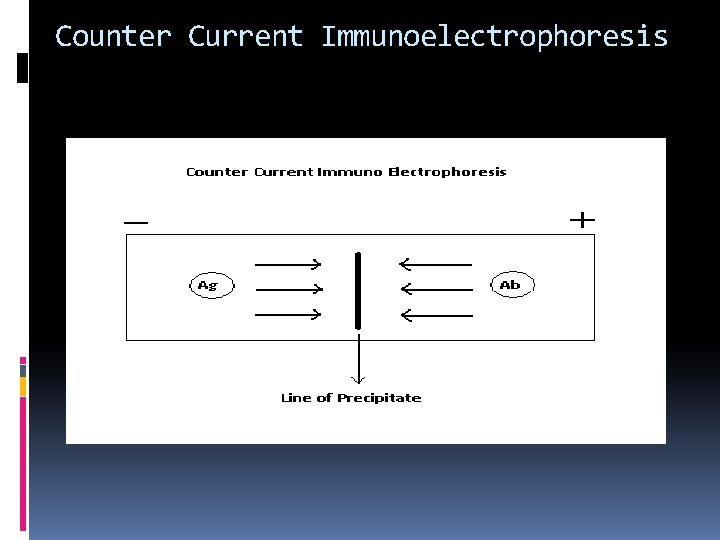 Counter Current Immunoelectrophoresis 