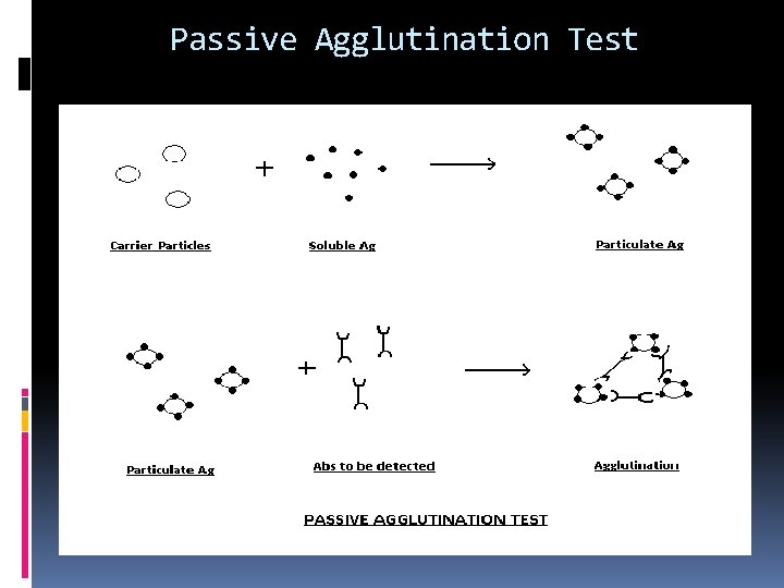 Passive Agglutination Test 