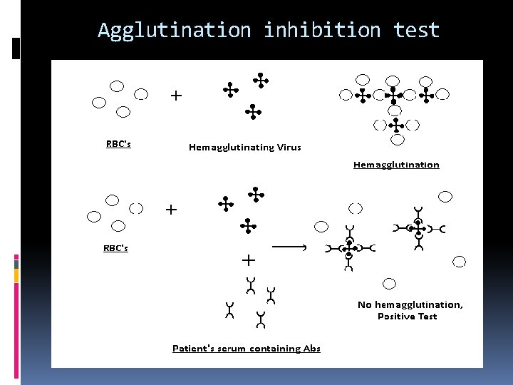 Agglutination inhibition test 