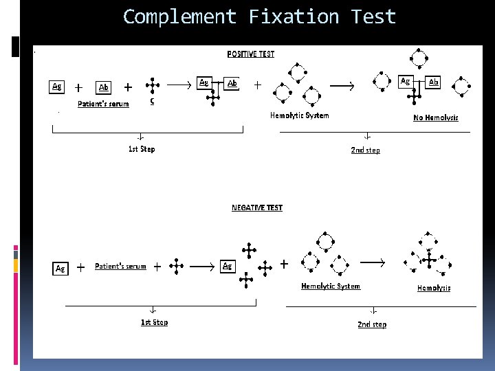 Complement Fixation Test 