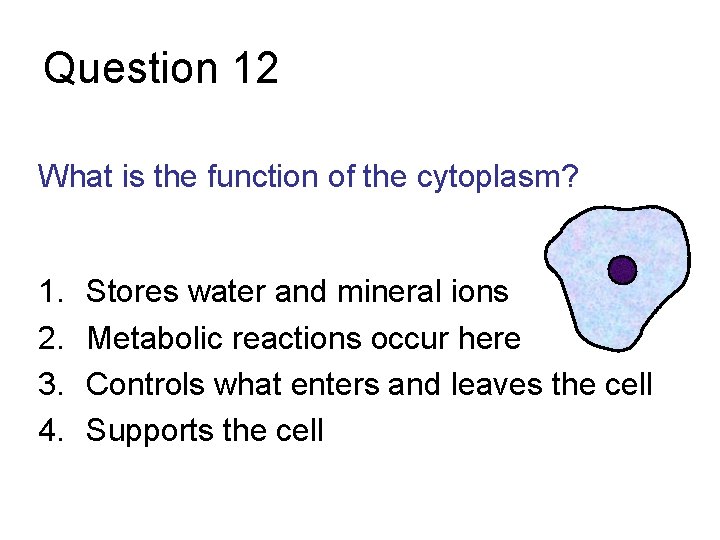 Question 12 What is the function of the cytoplasm? 1. 2. 3. 4. Stores