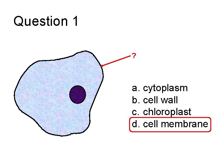 Question 1 ? a. cytoplasm b. cell wall c. chloroplast d. cell membrane 