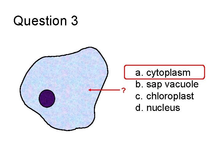 Question 3 ? a. cytoplasm b. sap vacuole c. chloroplast d. nucleus 