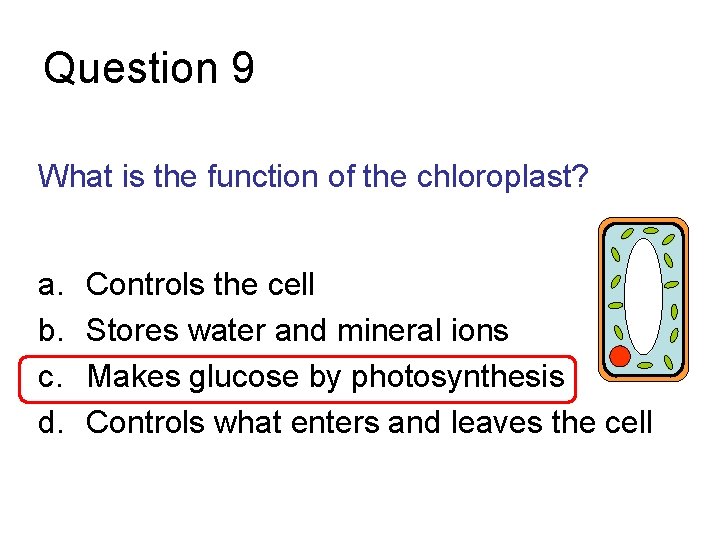 Question 9 What is the function of the chloroplast? a. b. c. d. Controls