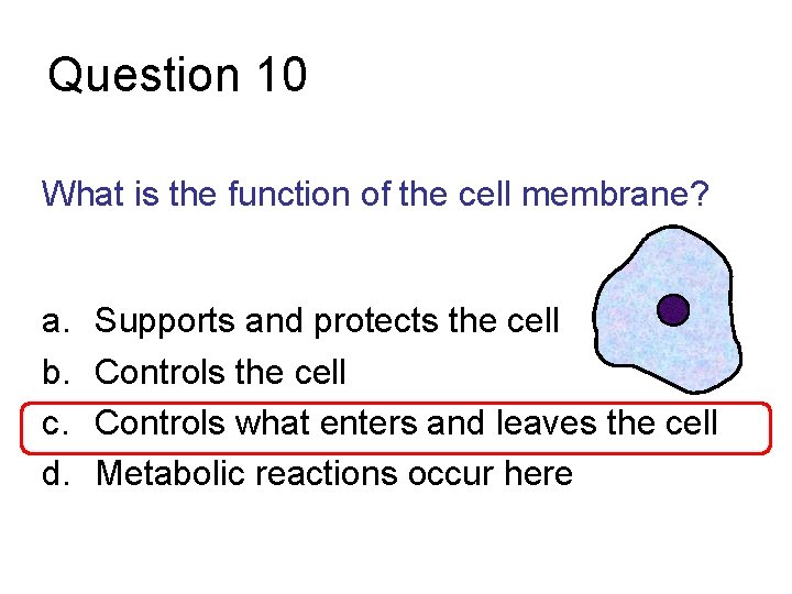 Question 10 What is the function of the cell membrane? a. b. c. d.