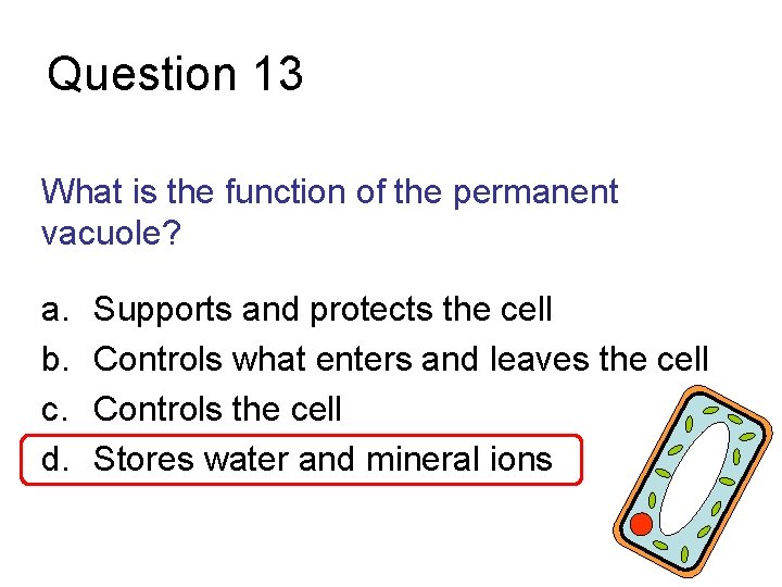 Question 13 What is the function of the permanent vacuole? a. b. c. d.