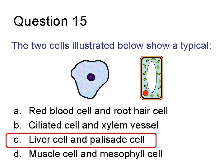 Question 15 The two cells illustrated below show a typical: a. b. c. d.