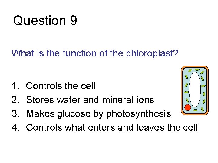 Question 9 What is the function of the chloroplast? 1. 2. 3. 4. Controls