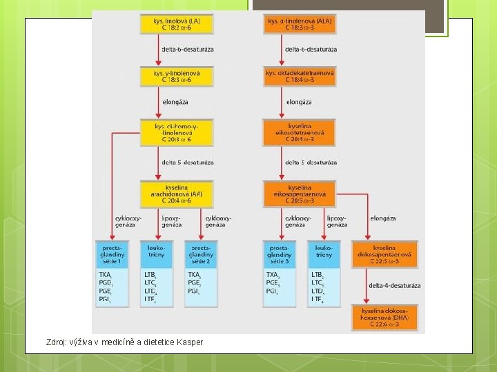 Zdroj: výživa v medicíně a dietetice Kasper 
