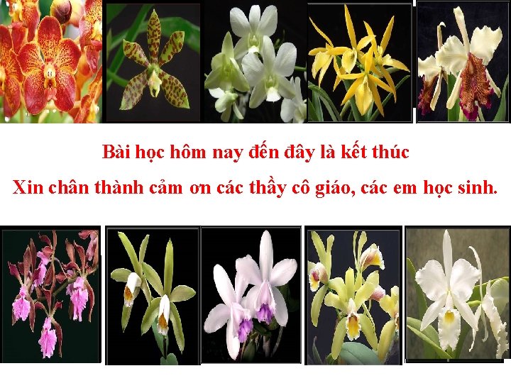 Bài học hôm nay đến đây là kết thúc Xin chân thành cảm ơn