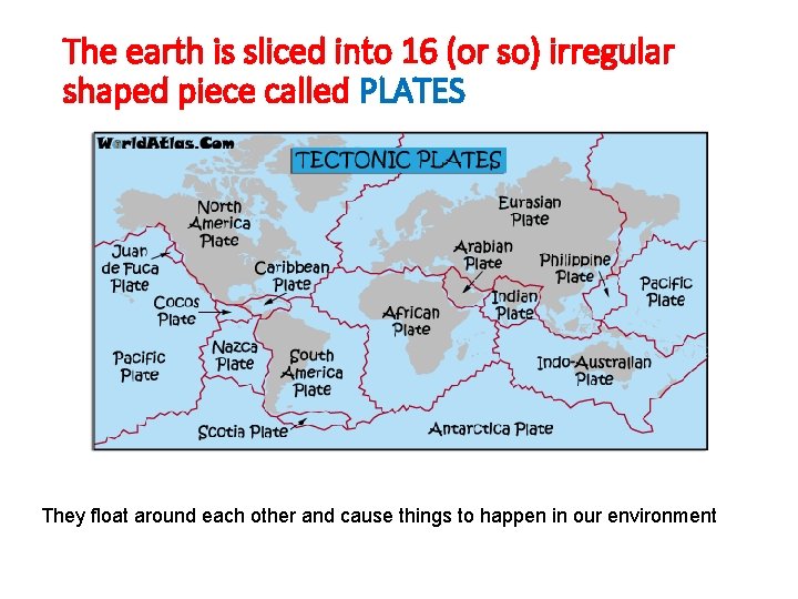 The earth is sliced into 16 (or so) irregular shaped piece called PLATES They