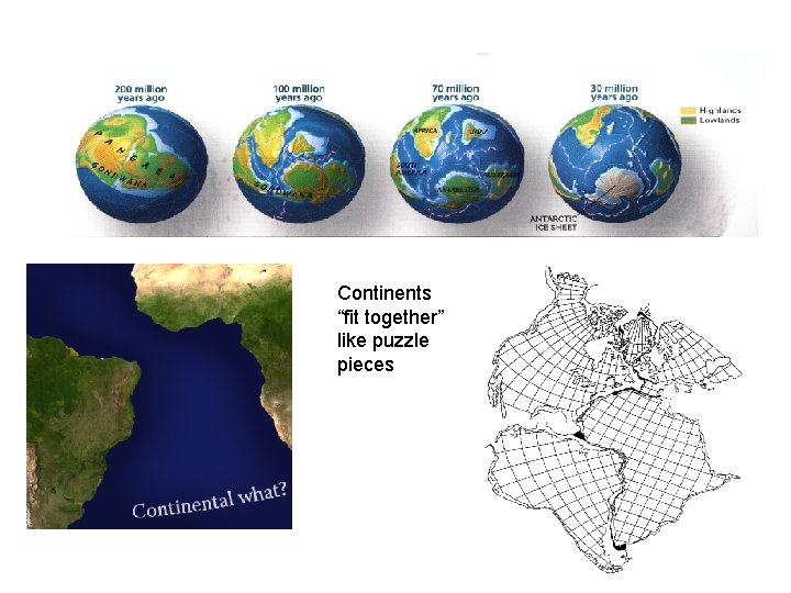 Continents “fit together” like puzzle pieces 