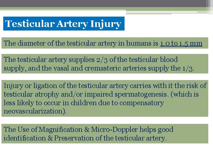 Testicular Artery Injury The diameter of the testicular artery in humans is 1. 0