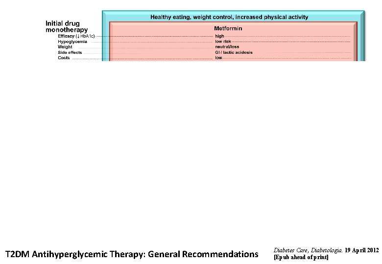 T 2 DM Antihyperglycemic Therapy: General Recommendations Diabetes Care, Diabetologia. 19 April 2012 [Epub