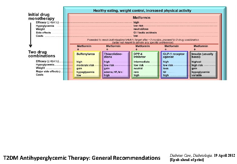 T 2 DM Antihyperglycemic Therapy: General Recommendations Diabetes Care, Diabetologia. 19 April 2012 [Epub
