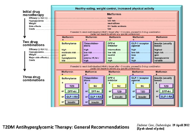 T 2 DM Antihyperglycemic Therapy: General Recommendations Diabetes Care, Diabetologia. 19 April 2012 [Epub